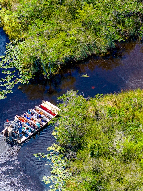 Airboat navigating through lush wetlands with passengers, showcasing an Everglades tour experience.
