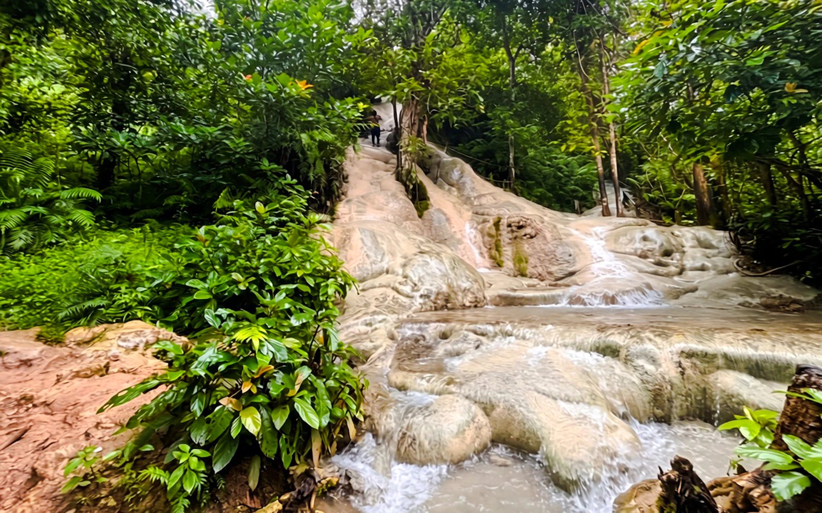 From Chiang Mai: Sticky Waterfall and Dantewada Cafe Tour (Product 54493)