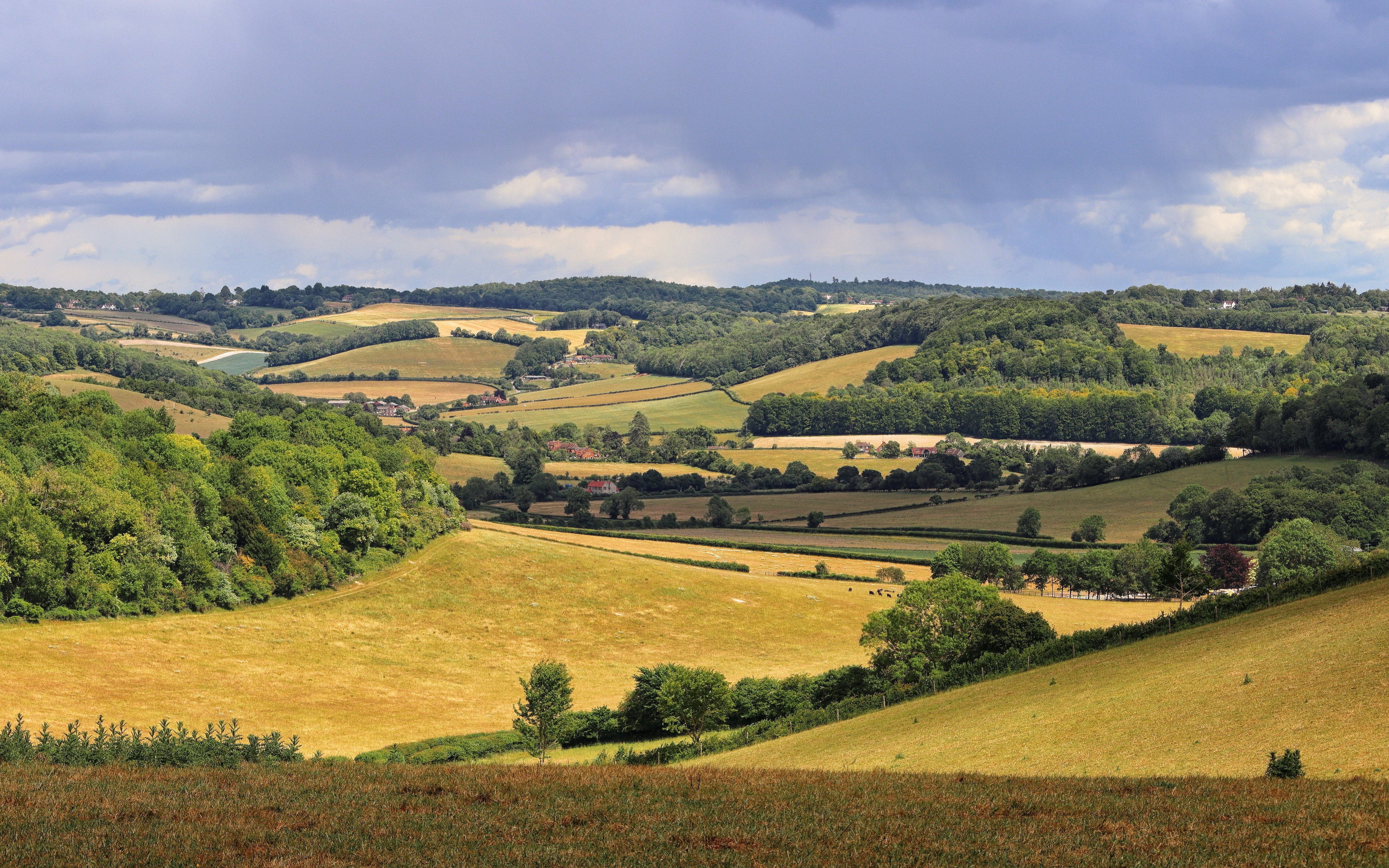 Chiltern Hills