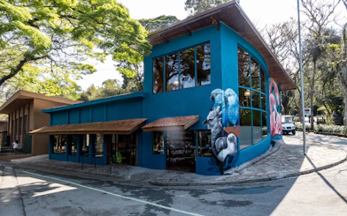 Bird murals on a blue building at the São Paulo Zoo bird's nest area.