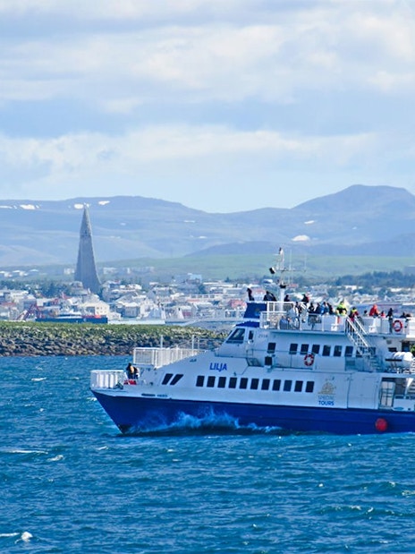 Boat on Whale Watching Tour from Akureyri with cityscape and mountains in background.