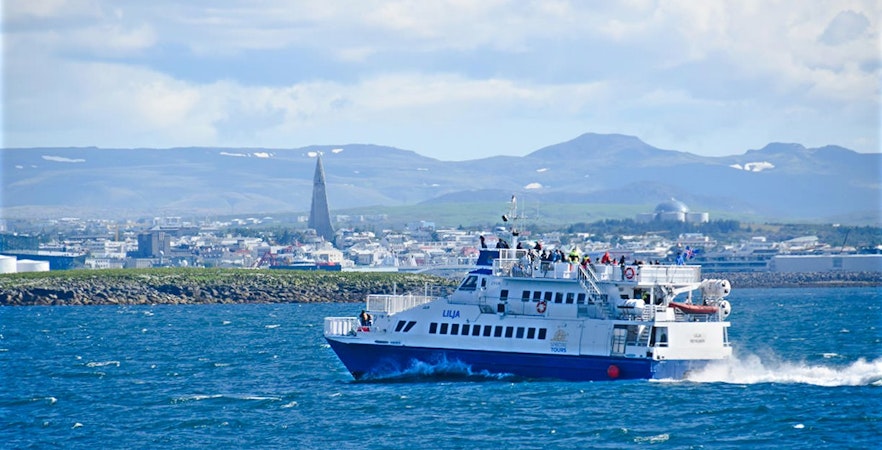 Three Ports, Endless Whales