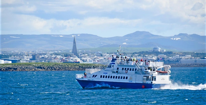 Three Ports, Endless Whales