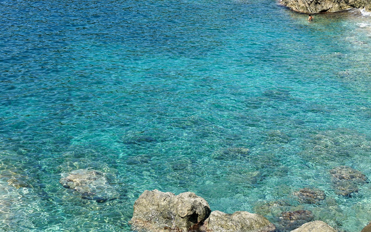 from framura: 2.5-hour cruise in cinque terre with wine and focaccia-5 from framura: 2.5-hour cruise in cinque terre with wine and focaccia-5