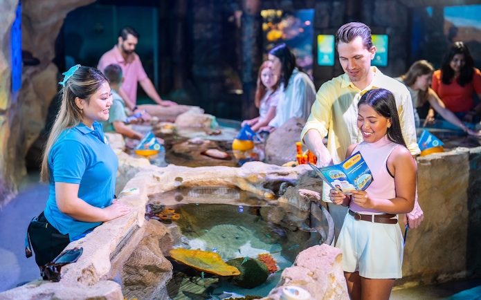 Couple interacting with touch pool at SEA LIFE Sydney Aquarium.