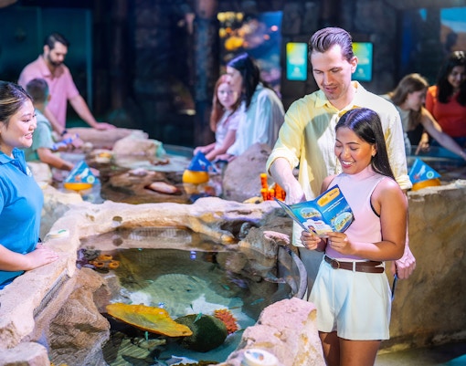 Couple interacting with touch pool at SEA LIFE Sydney Aquarium.