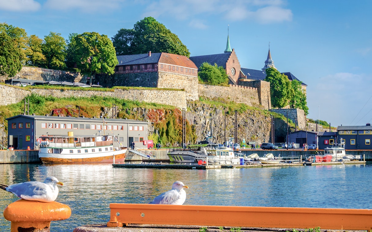 Seagull on harbor railing with Akershus Fortress in the background, Oslo, Norway.