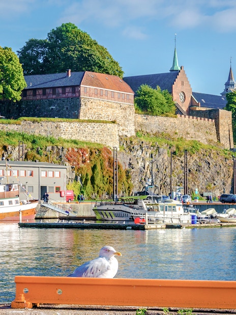 Seagull on harbor railing with Akershus Fortress in the background, Oslo, Norway.