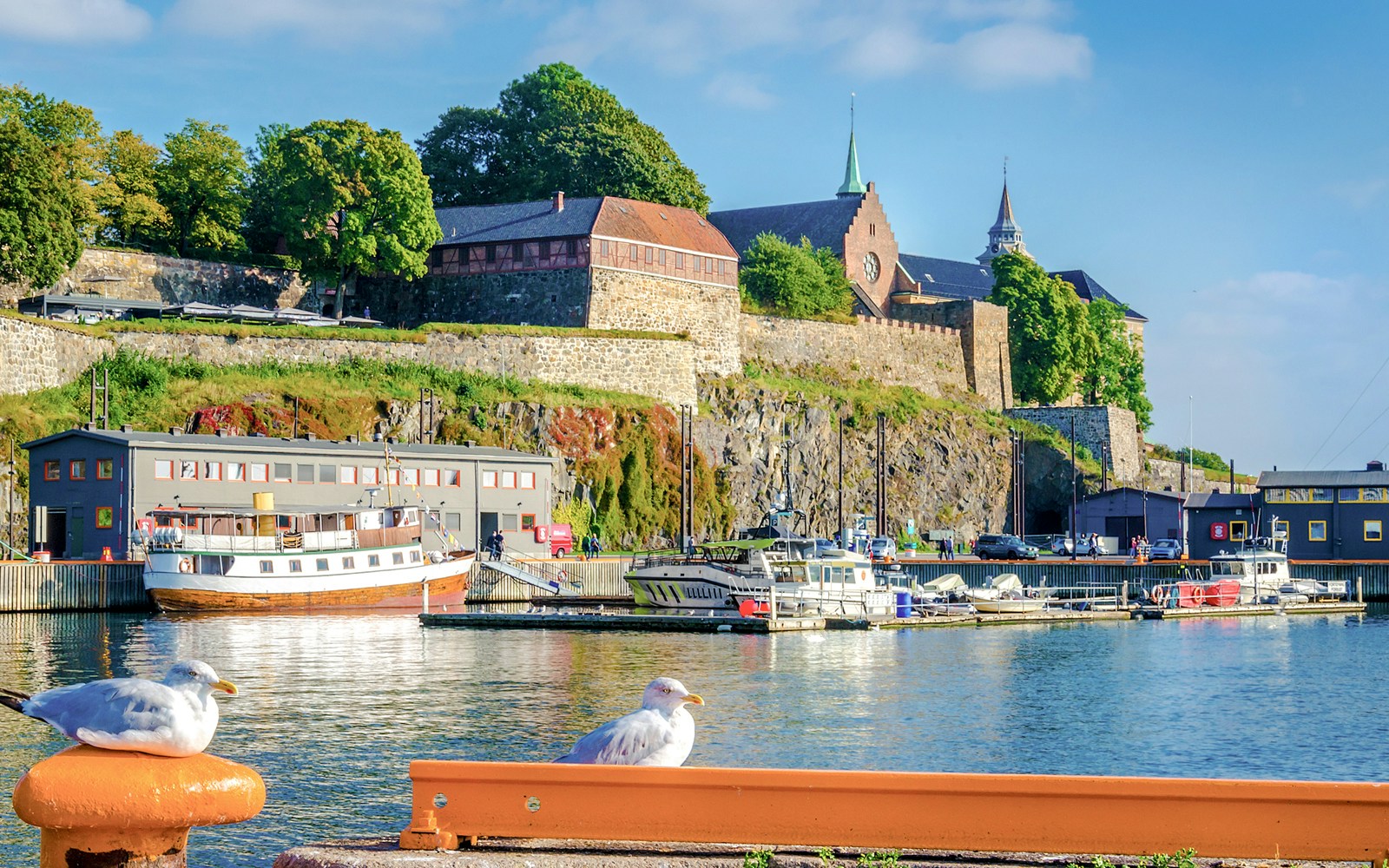 Seagull flying over Oslo harbor with Akershus Fortress in the background.