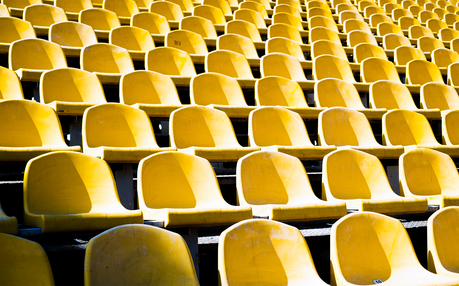 Yellow stadium seats in rows.