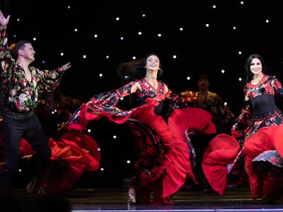 flamenco dancer performing