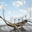 Sun Voyager