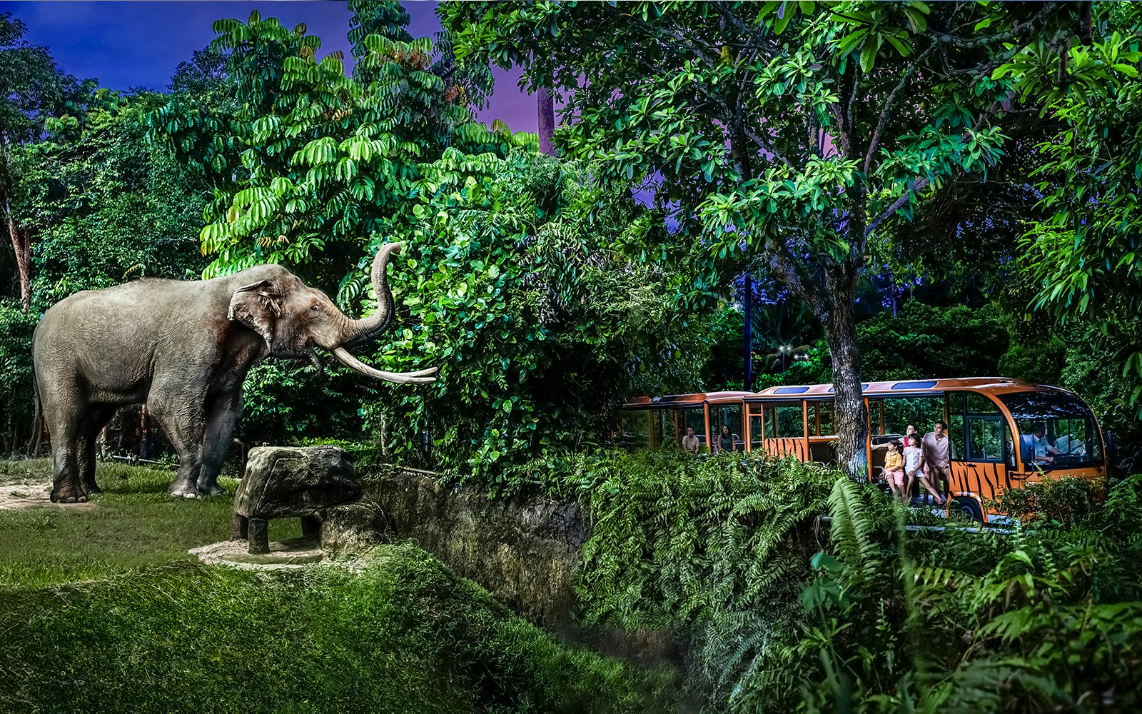Family on tram viewing elephant at Night Safari, Singapore.