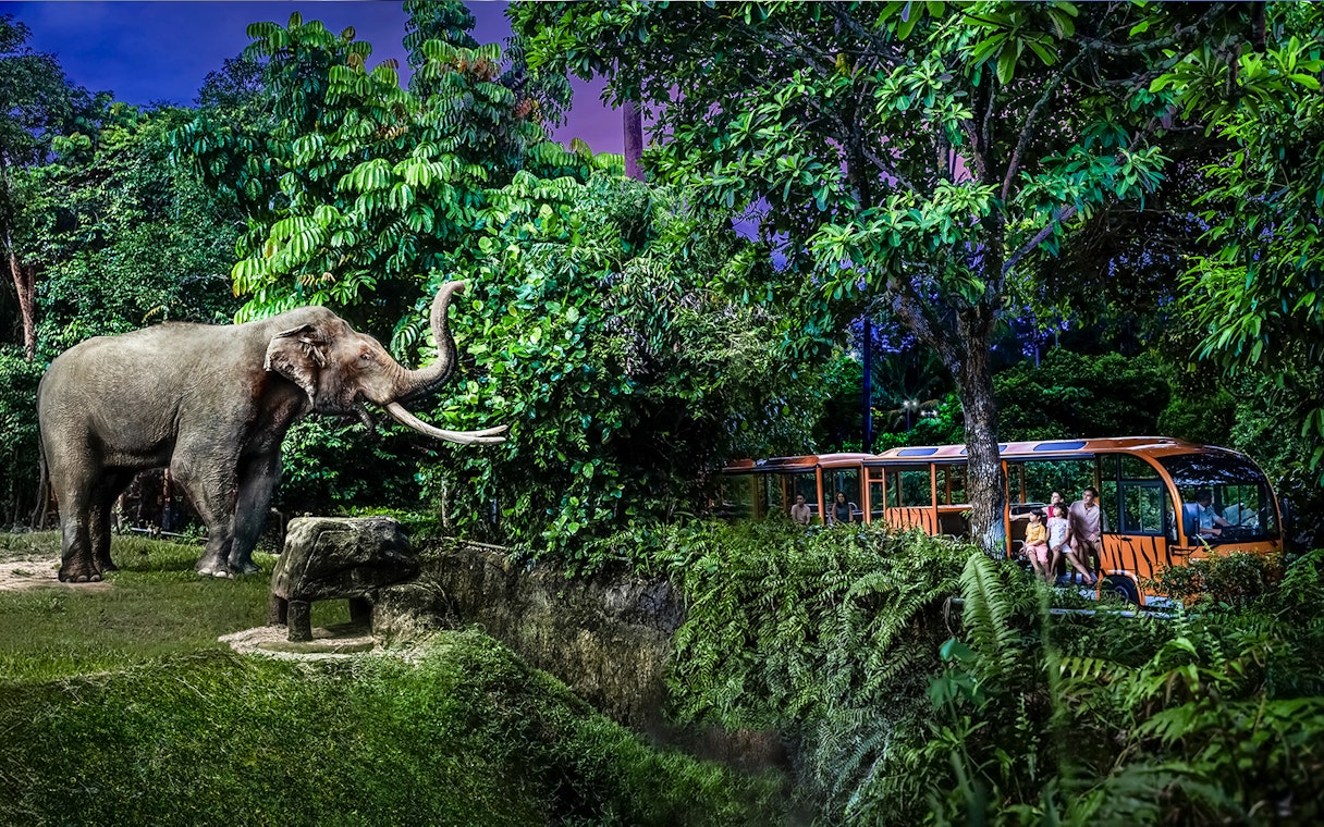 Family on tram viewing elephant at Night Safari, Singapore.