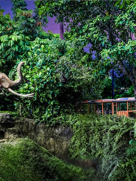 Family on tram viewing elephant at Night Safari, Singapore.