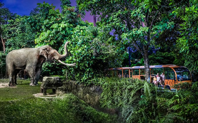 Family on tram viewing elephant at Night Safari, Singapore.