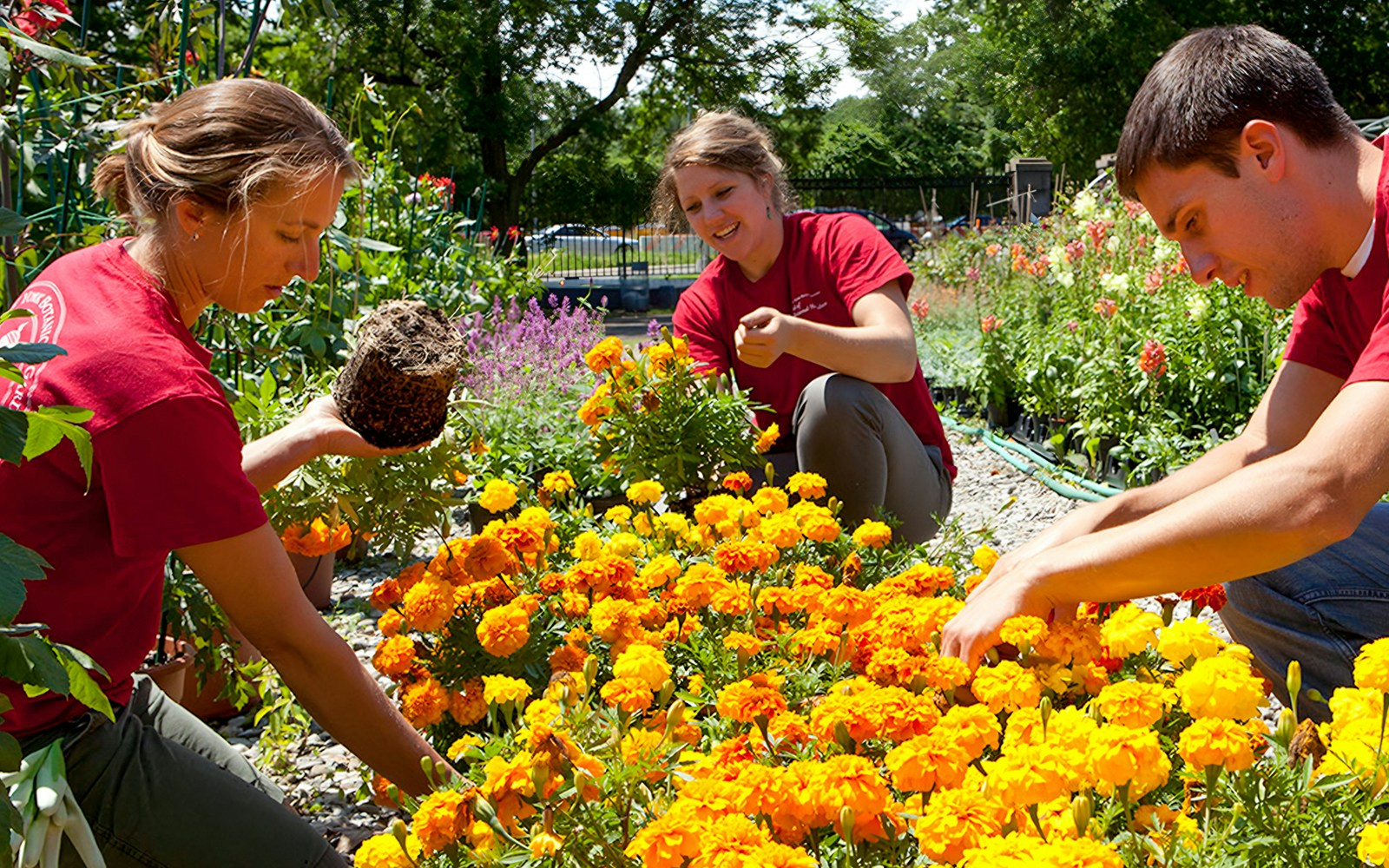 Educational hub at New York Botanical Garden