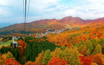 Cable car over autumn foliage in Zao, Yamagata, Japan, with mountains and resort below.