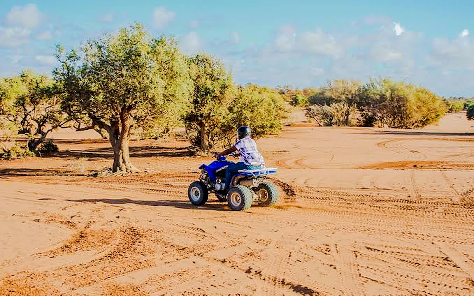 Agadir Quad Bike Tour with Hotel Transfers and Berber Tea