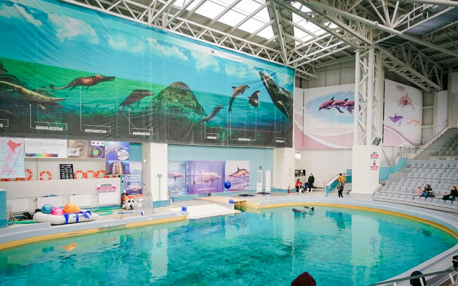 Constanța: Dolphinarium Show Tickets, Microreservation Access & Hydrobike Rental Image 6