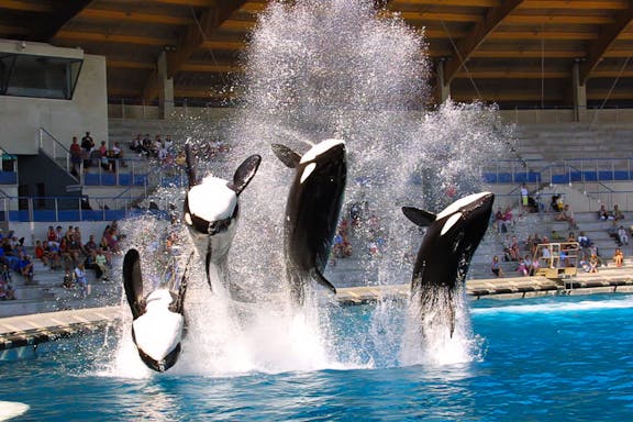 skip-the-line tickets to marineland of antibes-2