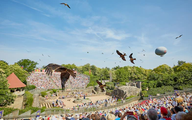 Birds flying over an outdoor amphitheater during The Ghost Birds Ball at Puy du Fou.