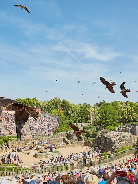 Birds flying over an outdoor amphitheater during The Ghost Birds Ball at Puy du Fou.