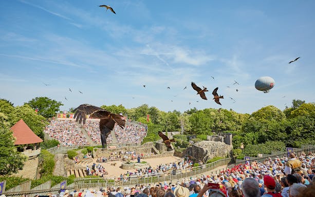 Birds flying over an outdoor amphitheater during The Ghost Birds Ball at Puy du Fou.