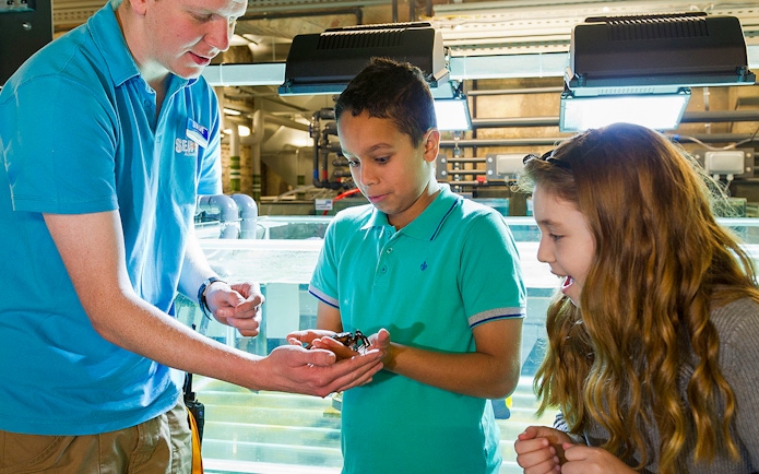 Kids observing a guide holding a sea creature on SEA LIFE London Behind the Scenes Tour.