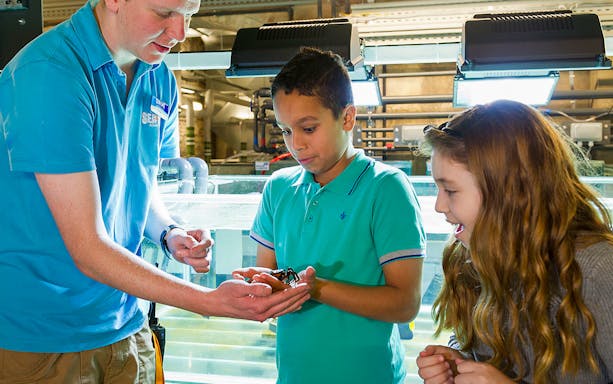 Kids observing a guide holding a sea creature on SEA LIFE London Behind the Scenes Tour.