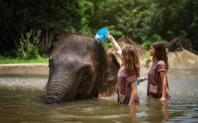 Visitors bathing an elephant at Elephant Jungle Sanctuary Samui.