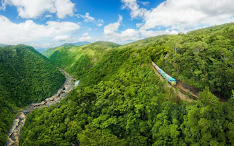 Kuranda Scenic Rail passing through lush rainforest in Queensland, Australia.