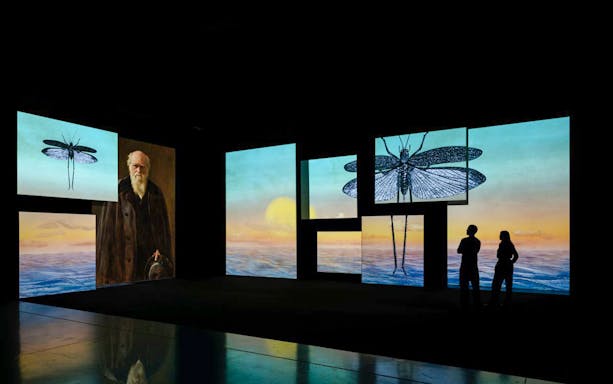 Visitors observing diverse portraits at Frameless National Portrait Gallery Exhibition, modern gallery, London.