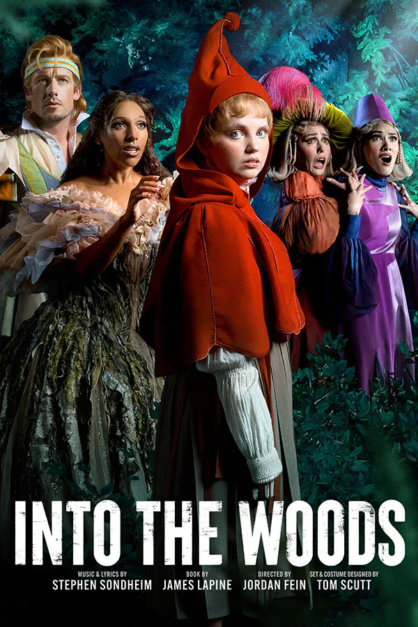 Into The Woods product image