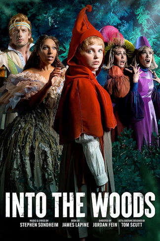 Into The Woods product image
