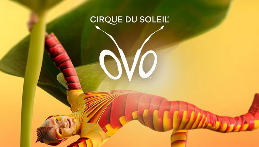 Performer in colorful costume from Cirque du Soleil OVO show.