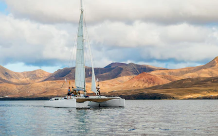 Small Group Whale & Dolphin Watching Cruise