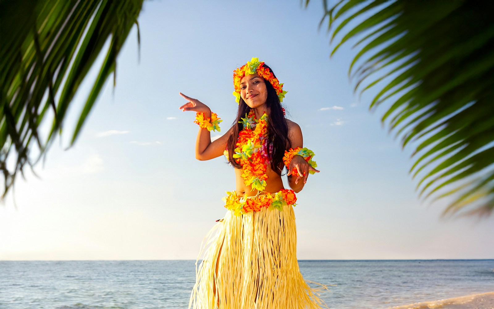 hula shows