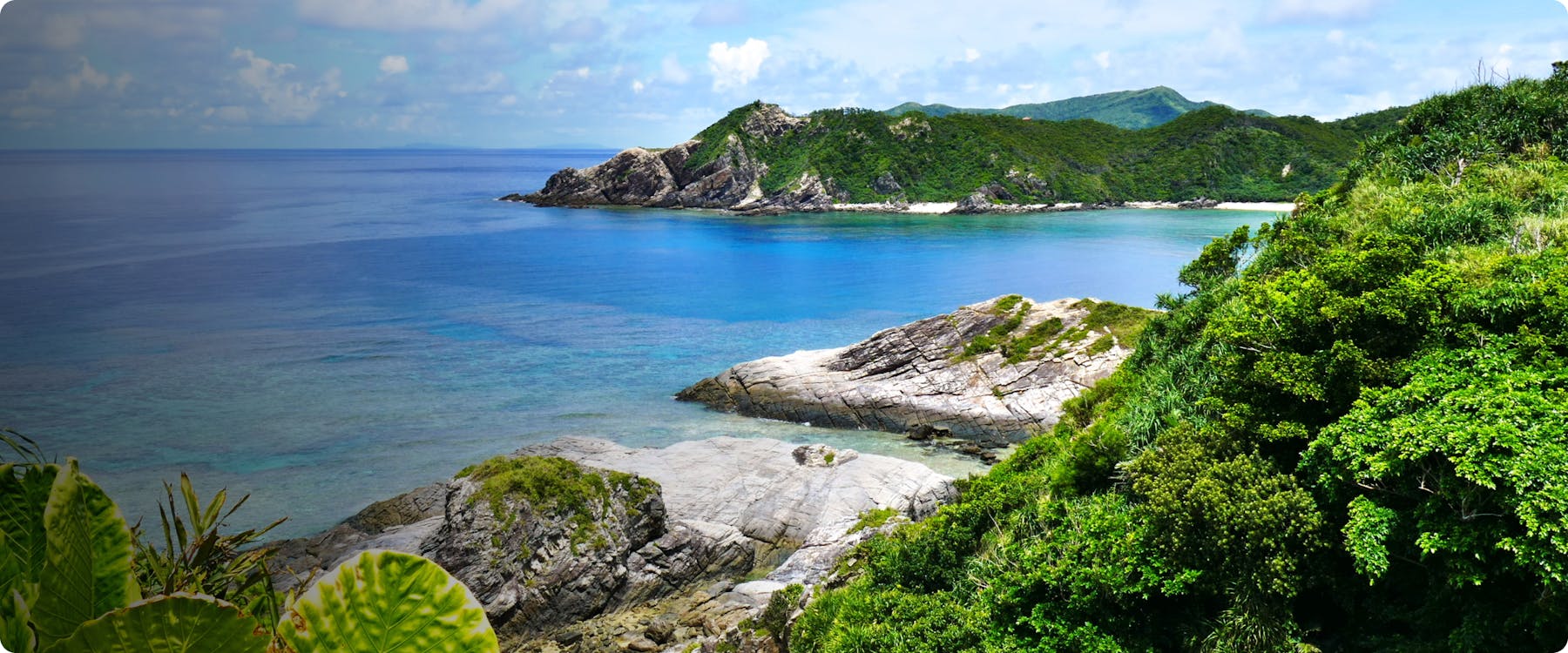 Rocky coastline and lush greenery overlooking clear blue waters in Okinawa.