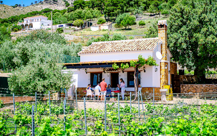 Mijas Organic Vineyard Tour and Tasting with 5 Wines, 2 Olive Oils and Tapas