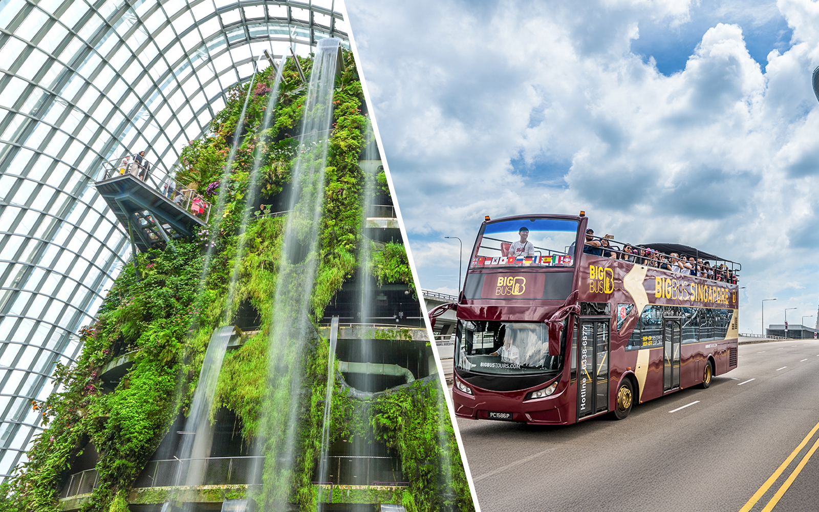 Combo (Save 10%): Gardens by the Bay Tickets + Singapore Hop-On Hop-Off Bus Tour