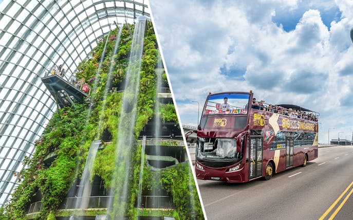 Gardens by the Bay waterfall and Singapore hop-on hop-off bus tour.