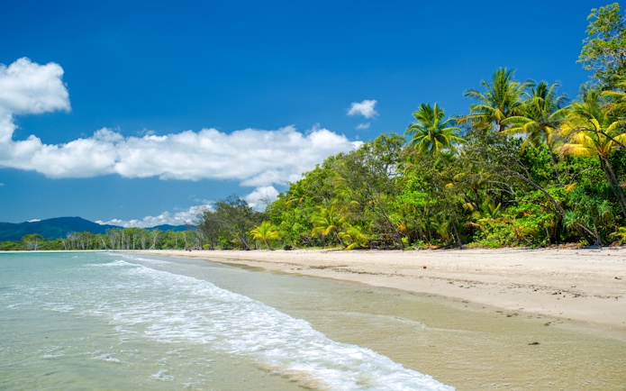 Daintree National Park coastline with lush greenery and clear blue sky.