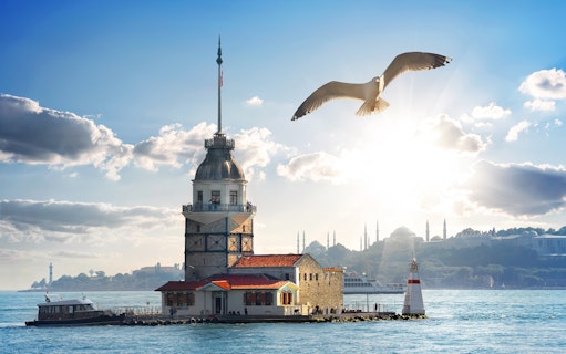 Maiden Tower on Bosphorus with seagull flying above, Istanbul.
