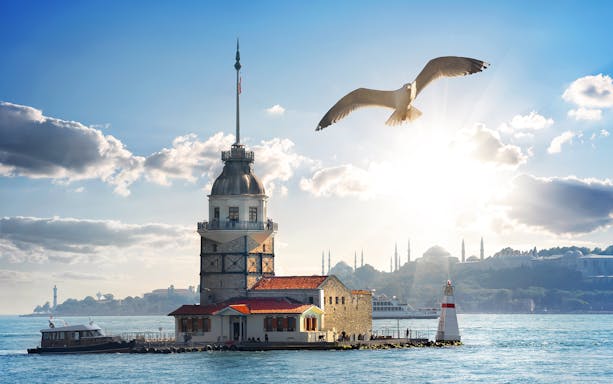 Maiden Tower on Bosphorus with seagull flying above, Istanbul.