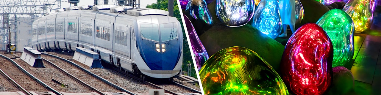 Combo: Skyliner Narita Airport Express + Biglietti TeamLab Planets