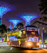 Upgrade: Singapore Night Tour With Live English Guide