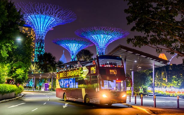 Big Bus Singapore at Gardens By The Bay during Christmas night tour.