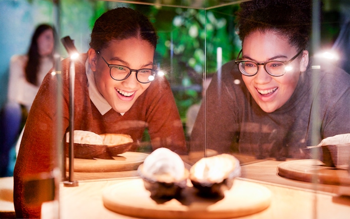 Two friends admire chocolate muffin display at Chocoversum, Hamburg.