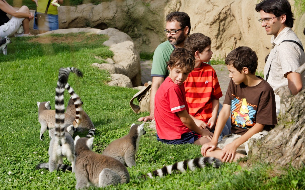 Family interacting with lemurs at Bioparc Valencia.